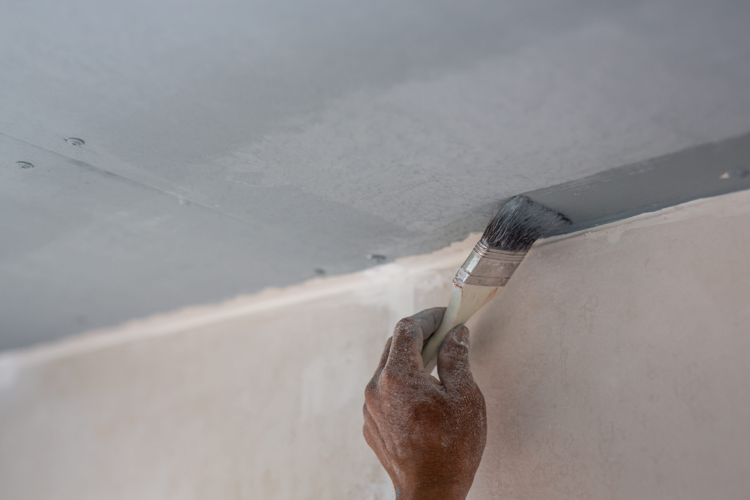 the painter who is painting in the house